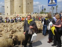 phoca_thumb_l_fotos  abril 2303